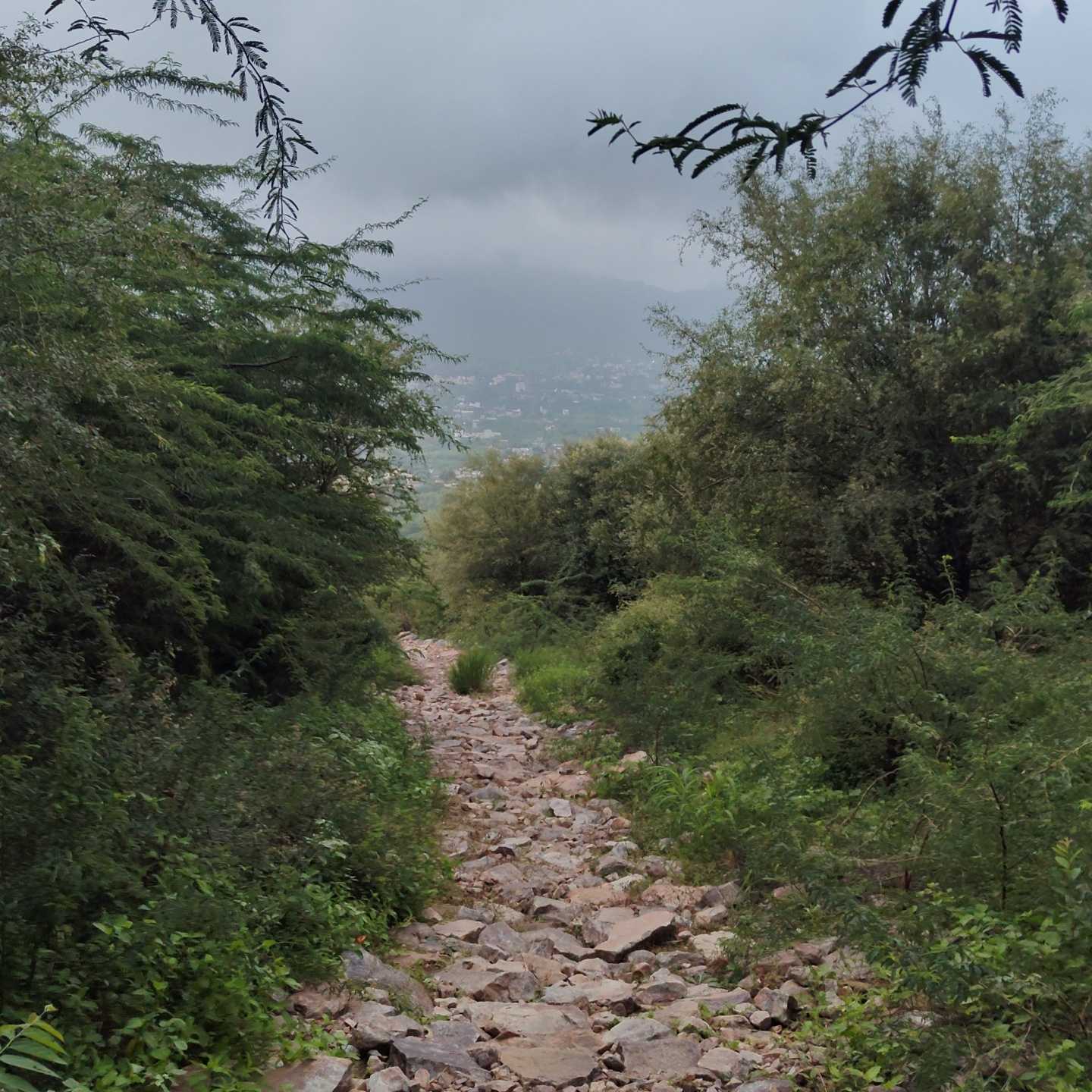 Plot in Ajmer